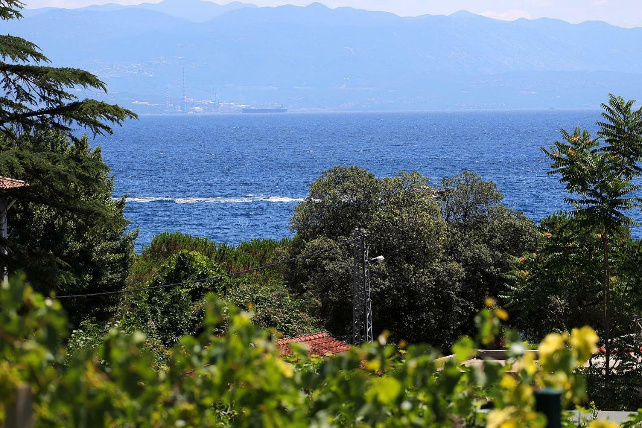 New With Swimming Pool Near The * Ičići